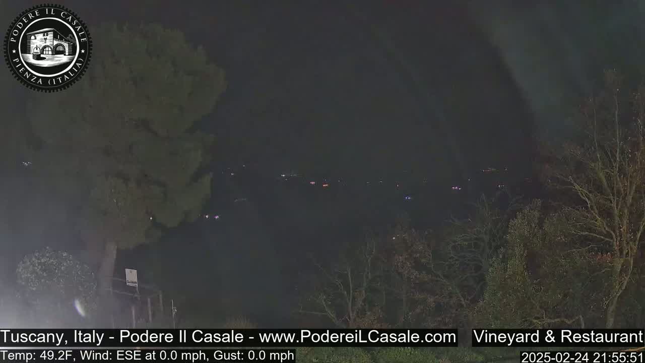 A nighttime view of a dark, sparsely lit landscape with trees and distant lights under a mostly cloudy sky.