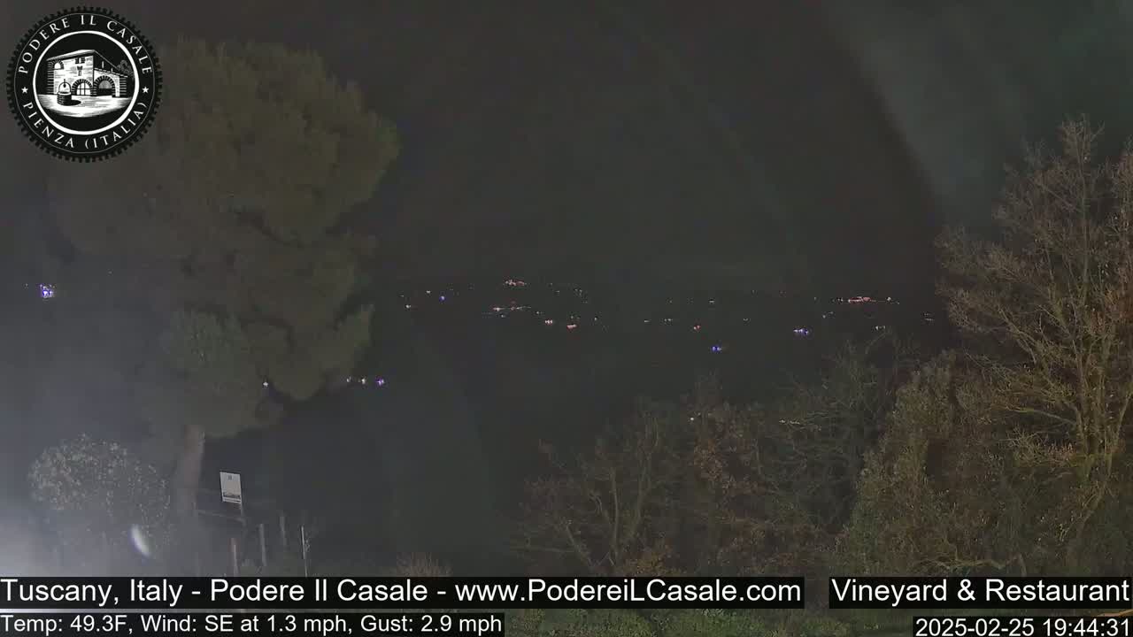 A nighttime view of dimly lit buildings and trees in the distance under a dark sky with a southeast wind.