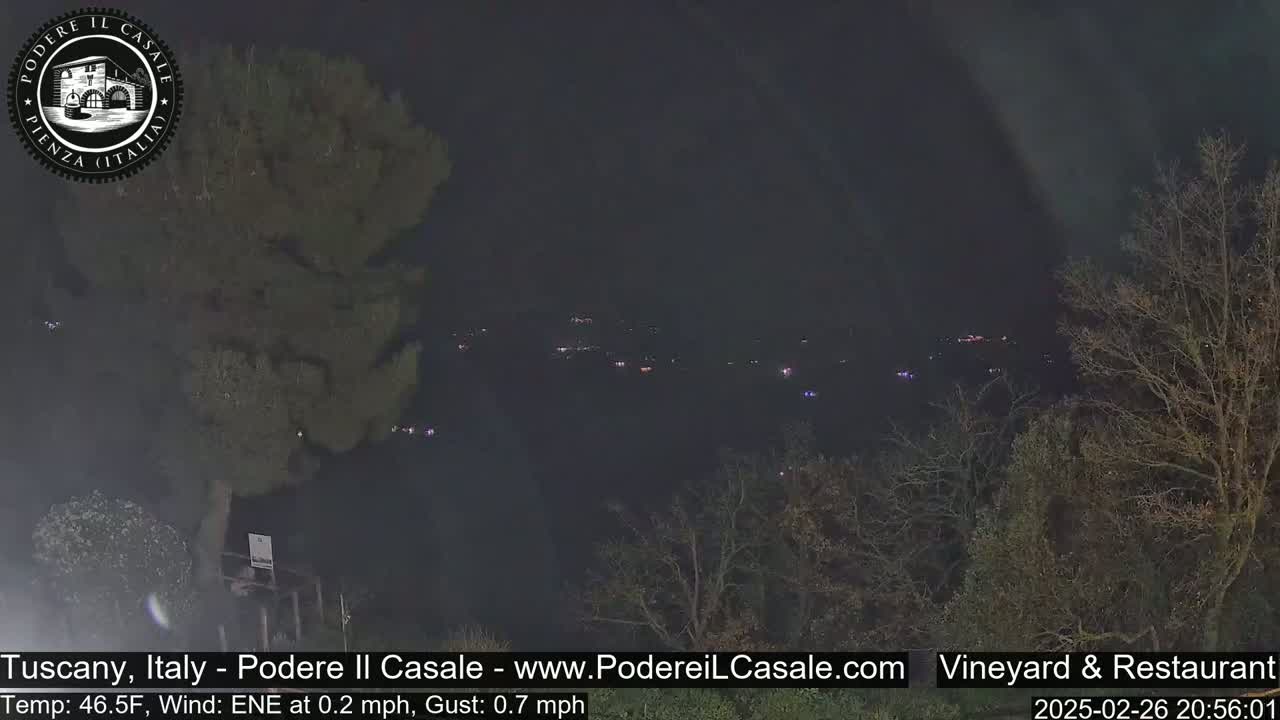 A nighttime view of dimly lit buildings and trees in the distance under a dark, clear sky.