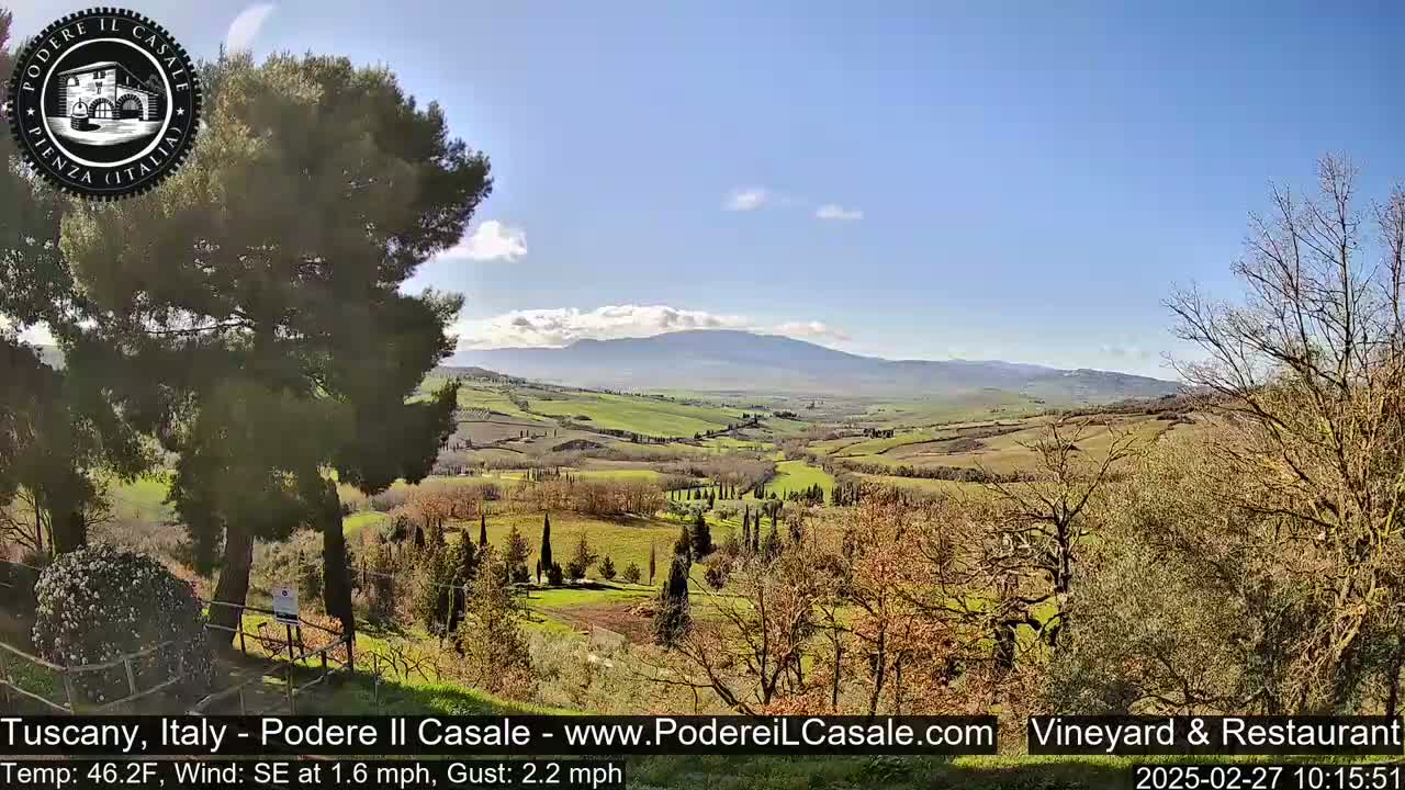 A sunny view of a rolling Tuscan landscape with vineyards and trees, under a mostly clear sky with a few clouds and distant mountains.