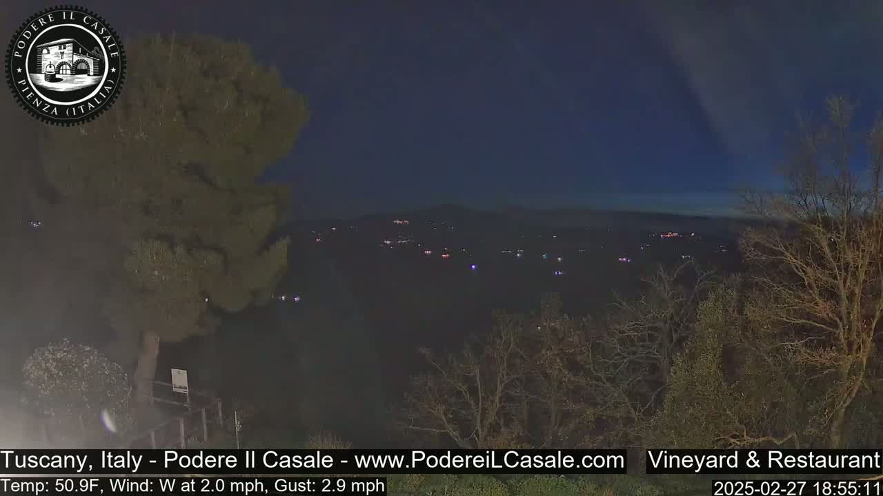 A nighttime view of a valley with scattered lights, seen from a hilltop overlooking trees under a clear, dark blue sky with a slight wind.