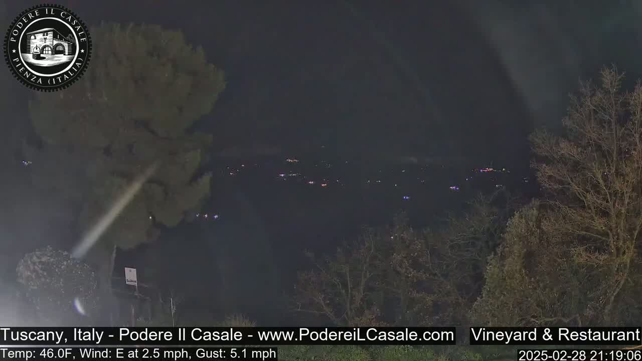 A nighttime, long-range view of a dimly lit valley with sparse trees and a slight east wind.