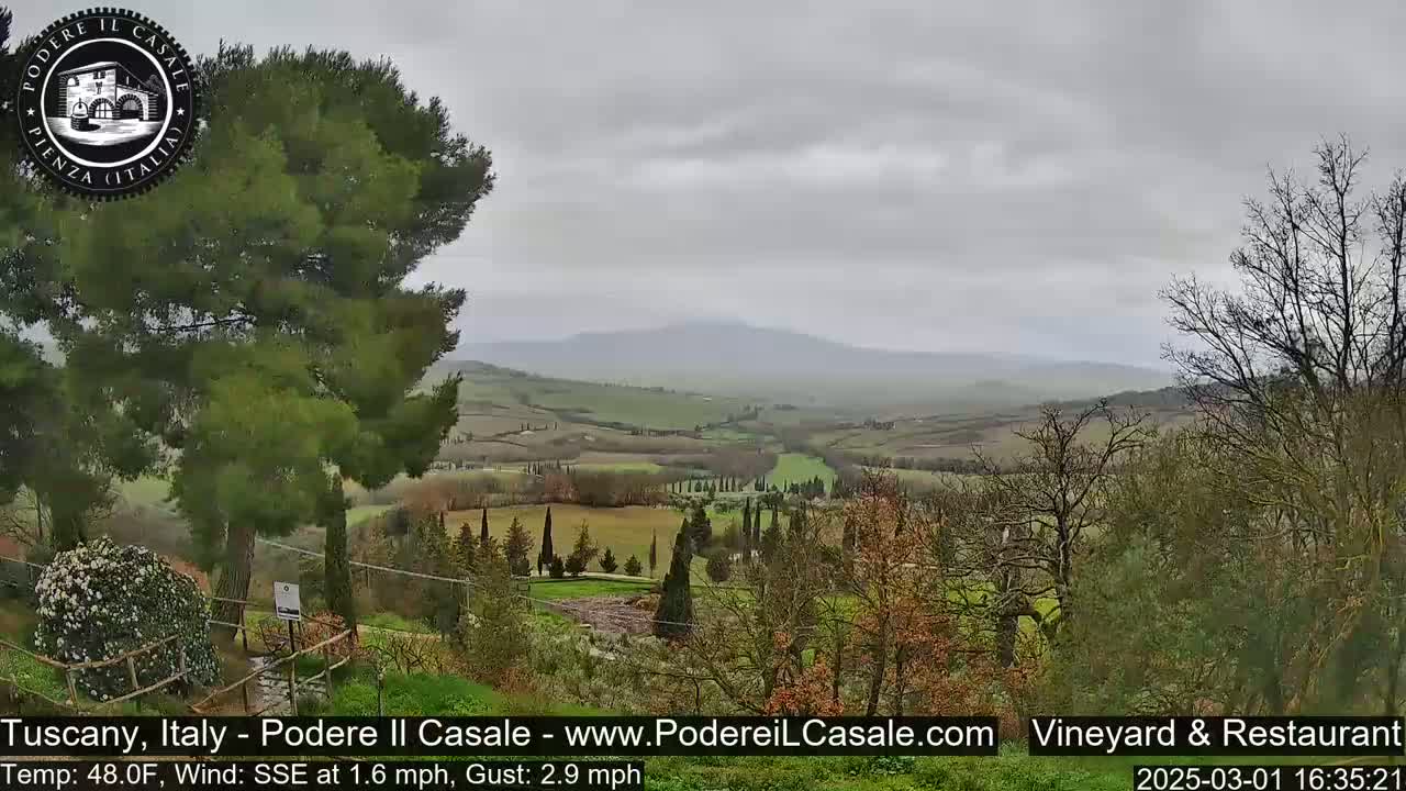 A view of a gently rolling Tuscan landscape under an overcast sky, showing rows of cypress trees and a distant mountain range.