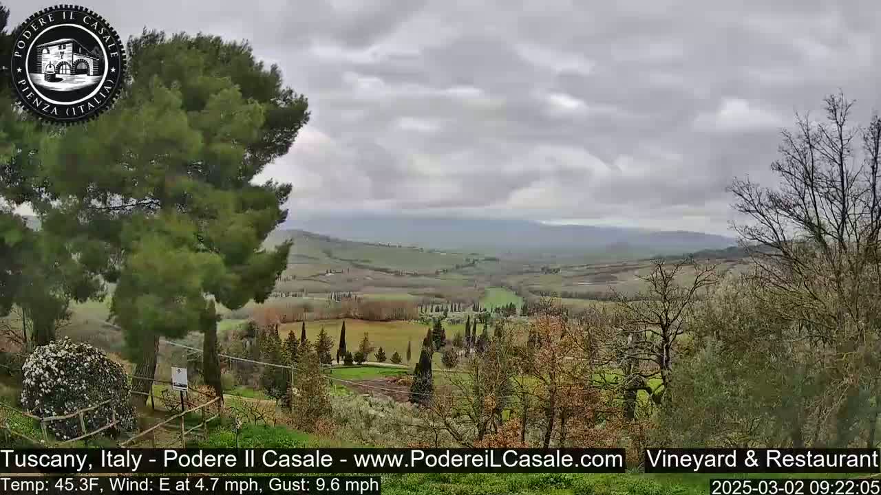 A gently rolling, green Tuscan landscape under a cloudy sky is visible from a vantage point partially obscured by trees.