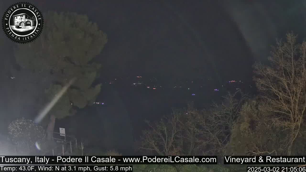 A nighttime long shot of a dimly lit landscape with bare trees and distant lights under a dark sky.