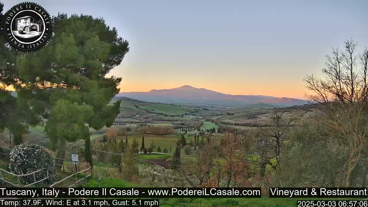 A sunlit Tuscan landscape with rolling hills, vineyards, and scattered trees under a clear, pale-pink and orange sunset sky.