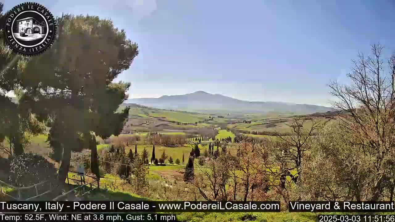 A sunny view of a rolling, green Tuscan landscape with sparse trees and a distant mountain range under a clear blue sky.