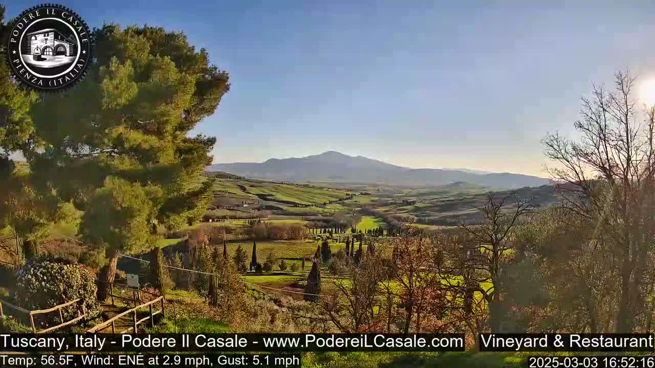 A sunny view of rolling hills and vineyards under a clear sky, with a mountain in the distance.