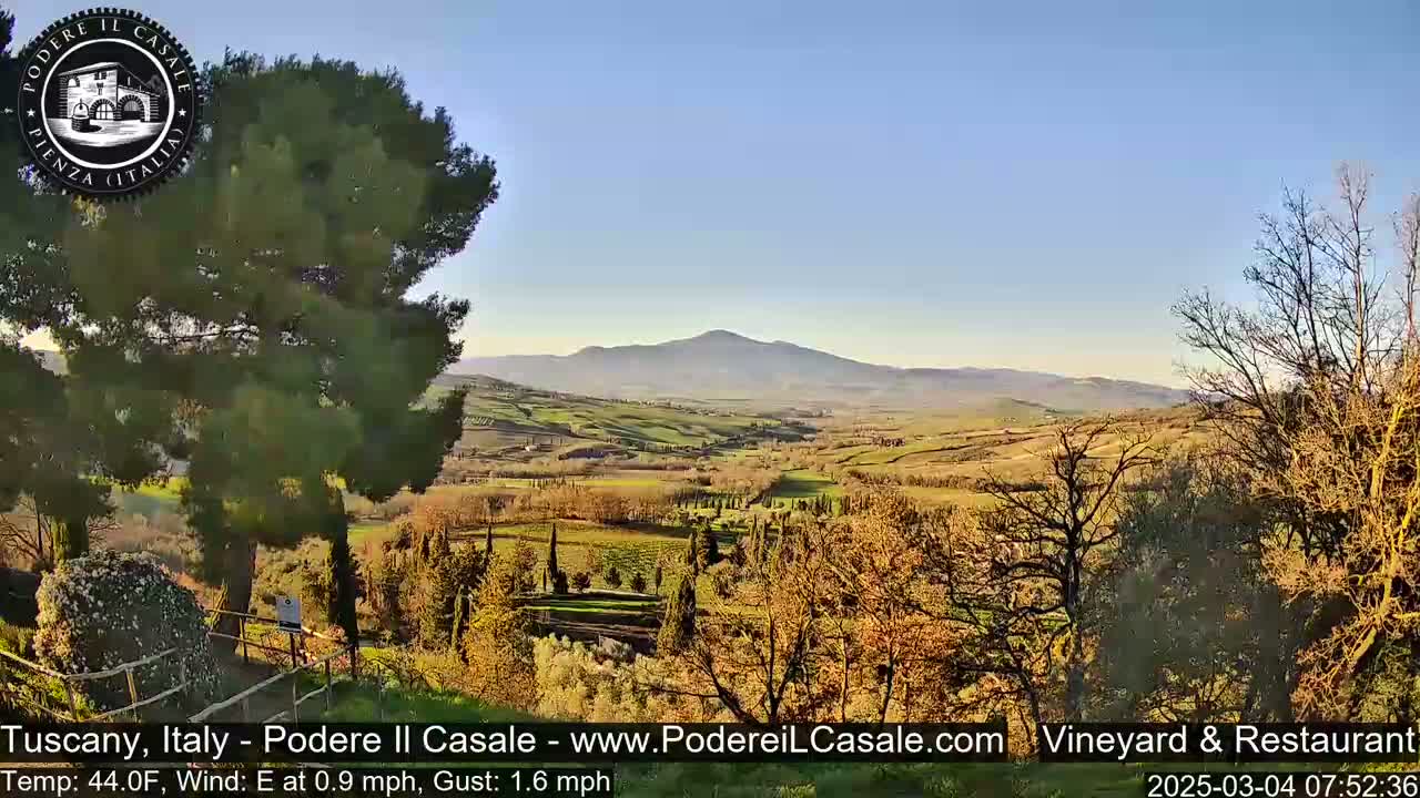 A sunlit Tuscan landscape, viewed from an elevated position, shows rolling hills, vineyards, and trees under a clear blue sky.