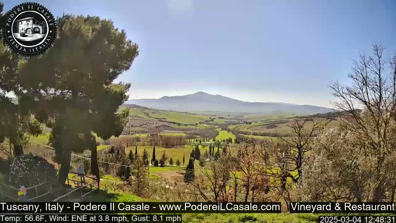A sunny, partly cloudy view of a rolling green Tuscan landscape with a mountain in the distance, featuring a variety of trees and shrubs.