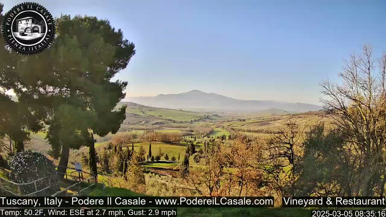 A panoramic view of a sunlit Tuscan countryside reveals rolling hills, vineyards, and scattered trees under a clear blue sky.