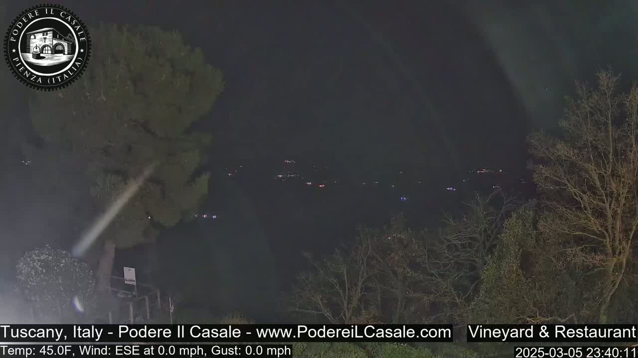 A nighttime, low-light view of a distant town or village nestled among dark trees under a clear, dark sky.