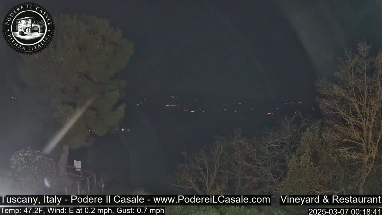 A nighttime view of a valley with scattered lights, partially obscured by dark, leafless trees under a dark sky.