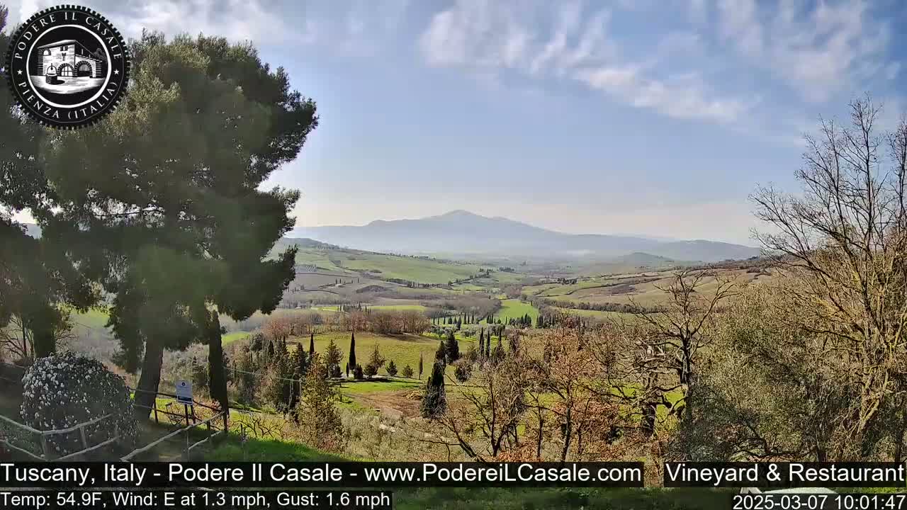 A sunny, partly cloudy view of a rolling Tuscan landscape, with a distant mountain range and a foreground of trees and shrubs.