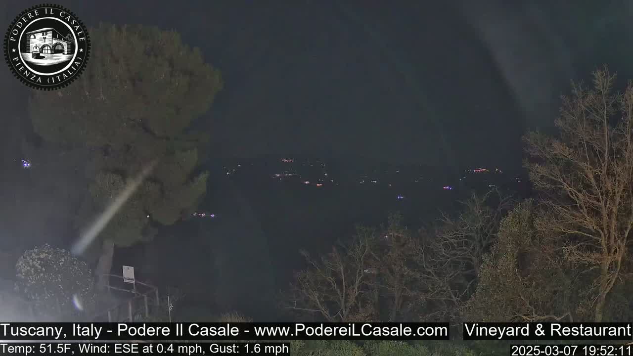 A nighttime, long shot overlooking a distant village with scattered lights, under a dark sky with a slight wind.