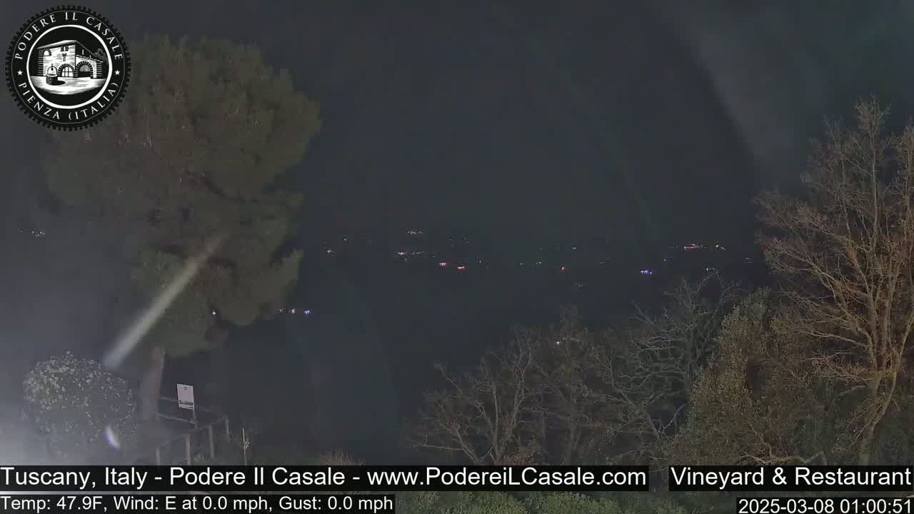 A nighttime view of a dimly lit landscape with sparse trees and distant lights, under a clear, dark sky.