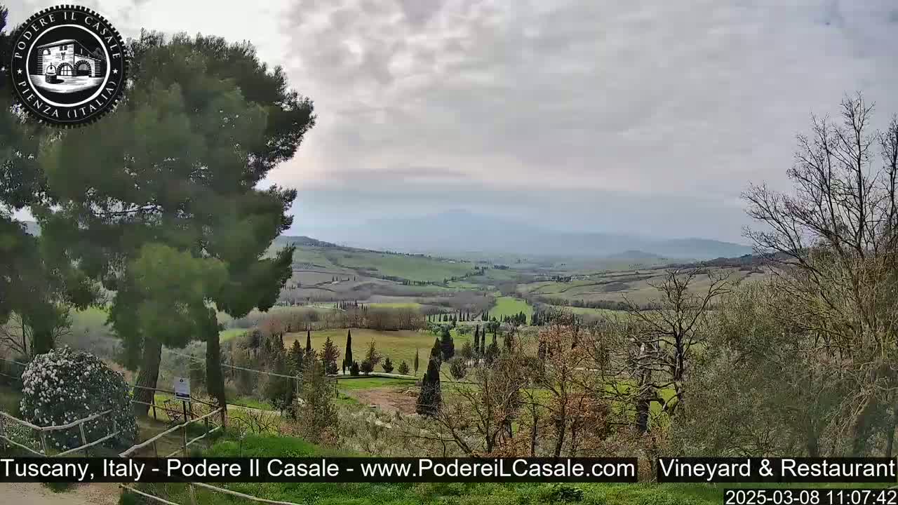A view of a rolling green Tuscan landscape under a cloudy sky, partially obscured by trees in the foreground.