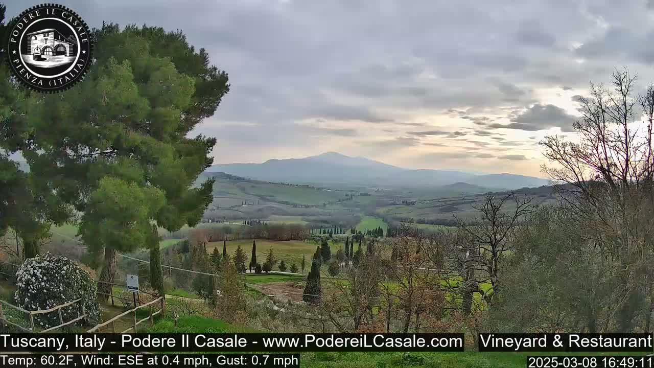 A picturesque Tuscan landscape under a partly cloudy sky shows rolling hills, vineyards, and cypress trees, with a mountain range in the distance.