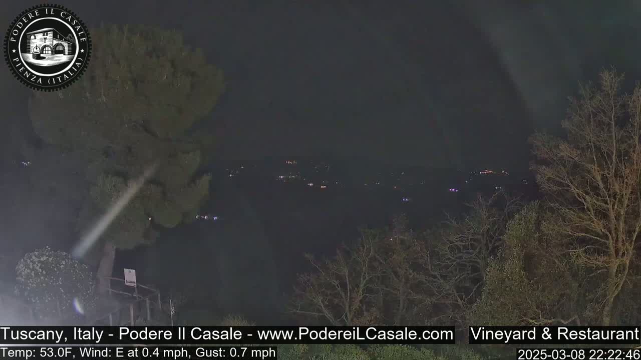 A nighttime, slightly hazy view of a distant town's lights beyond a dark, leafless landscape with a temperature of 53°F and an easterly wind.