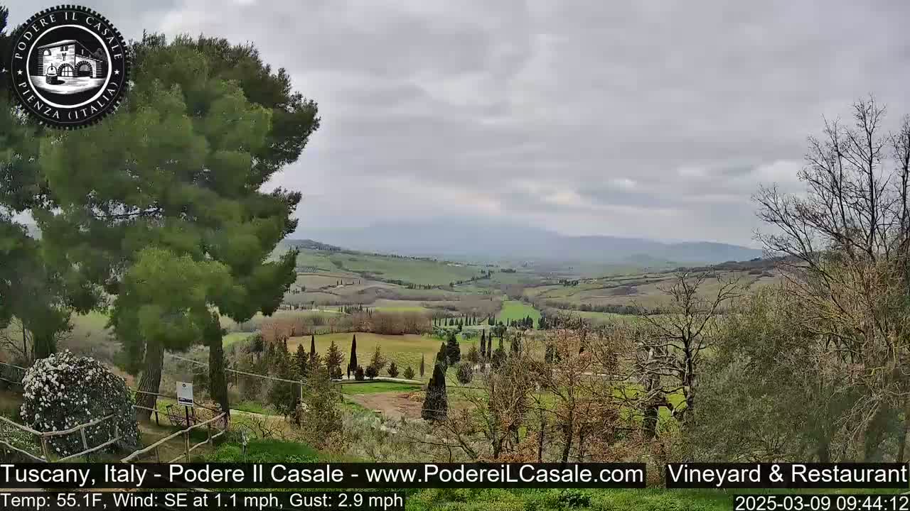 A view of rolling hills and vineyards under a cloudy sky.