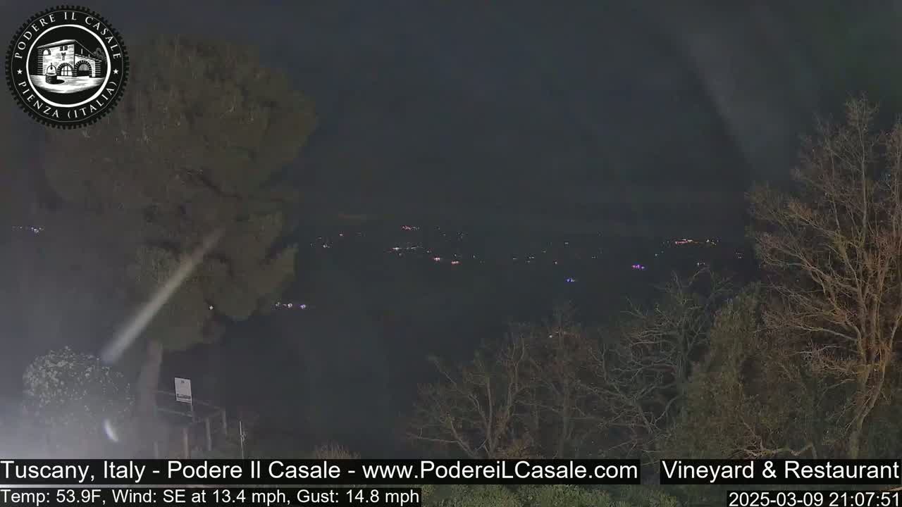 A nighttime view of a dimly lit valley with sparsely populated areas, under a dark sky, with a southeast wind blowing at 13.4 mph and gusts up to 14.8 mph.