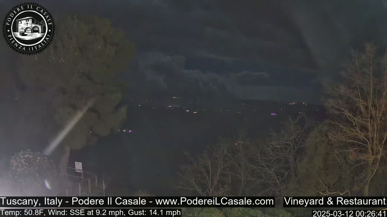 A nighttime view of a hilly landscape with sparse trees under a dark, cloudy sky, showing a few distant lights.