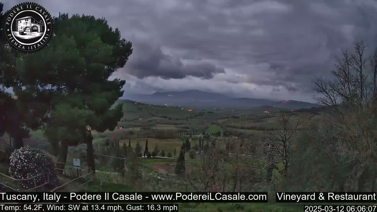 A view of a rolling, vineyard-covered landscape under a cloudy, overcast sky.