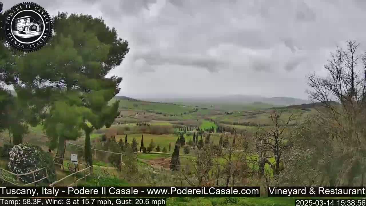 A hilly, verdant landscape under an overcast sky stretches to the horizon, with dark green trees in the foreground.