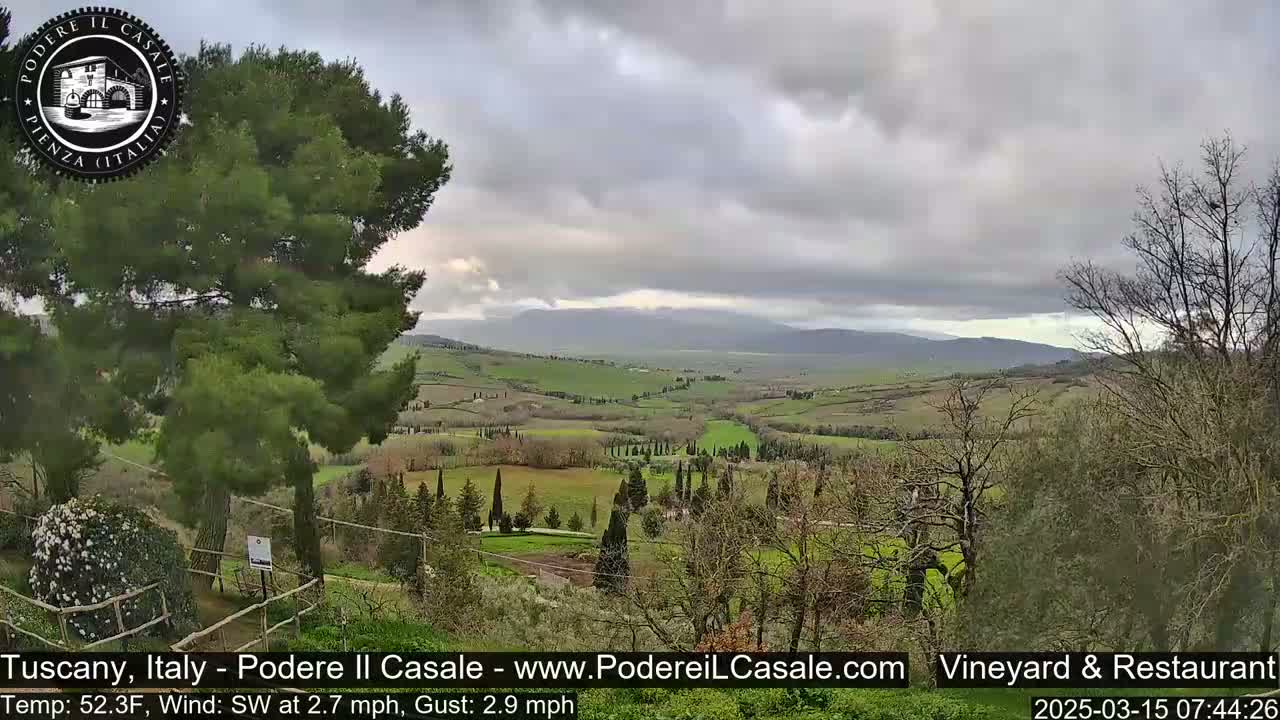 A panoramic view of a rolling green Tuscan landscape under a mostly cloudy sky shows a line of cypress trees and a large pine tree in the foreground.