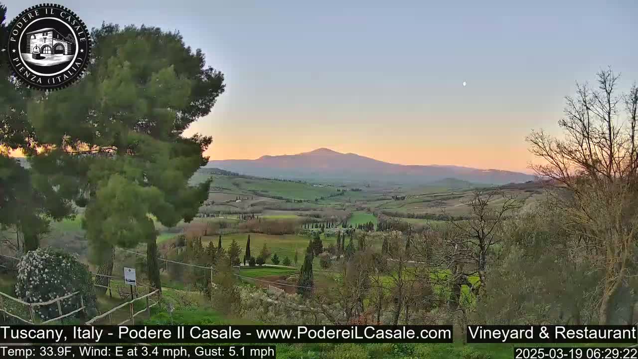 A tranquil sunset view of rolling hills and vineyards under a pale sky, with a distant mountain in the background and a slight east wind.