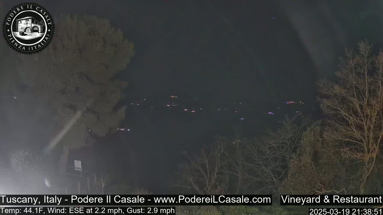 A nighttime view of a dark, sparsely lit landscape with bare trees, a distant cluster of lights, and a slightly hazy atmosphere.