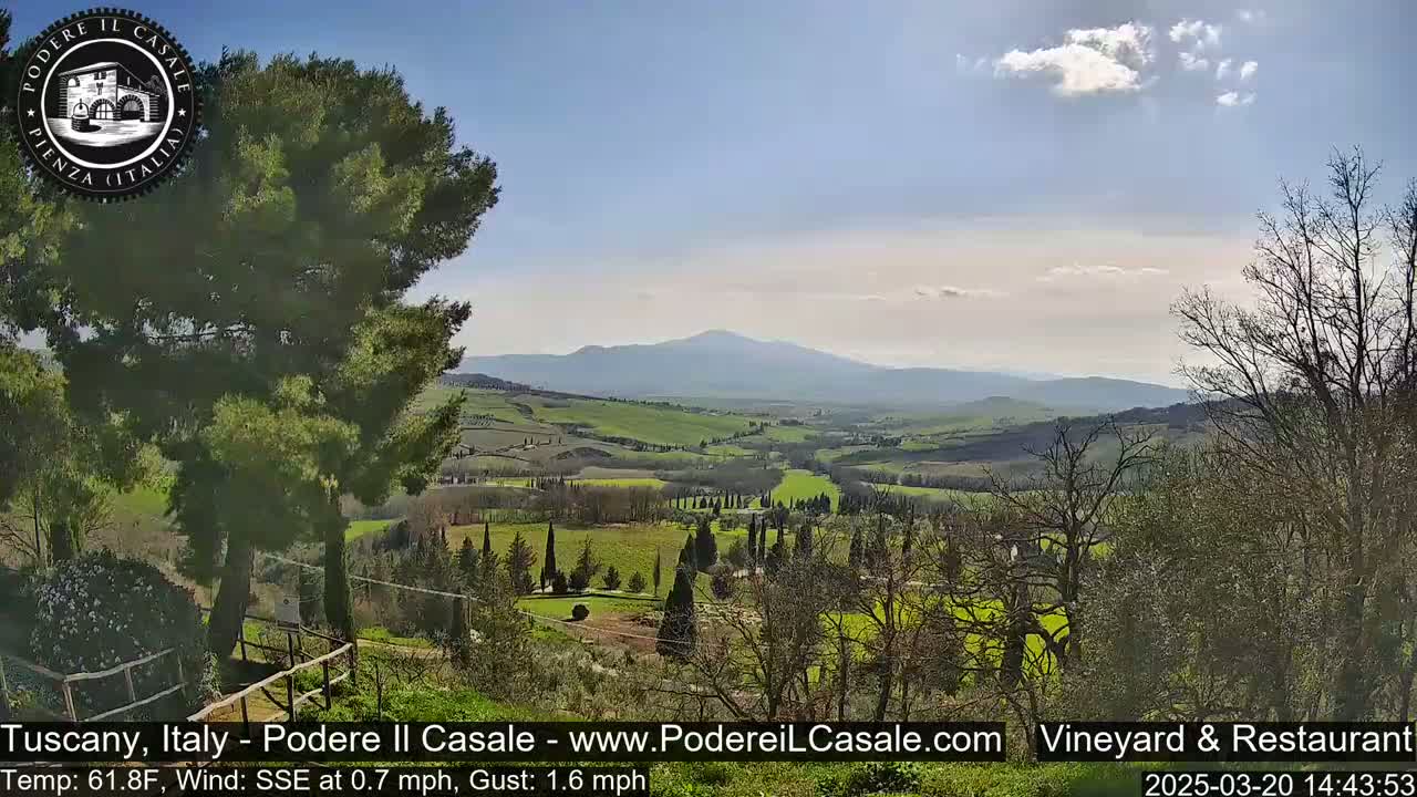A sunny view of rolling green hills and a distant mountain range, partially obscured by trees in the foreground.