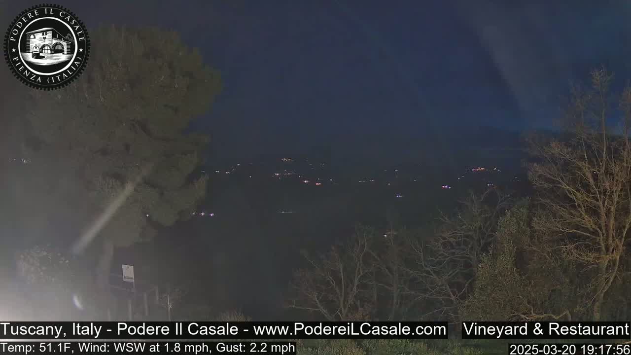 A nighttime view of a dimly lit landscape, with sparsely-leaved trees in the foreground and a distant collection of lights, under a dark, clear sky.