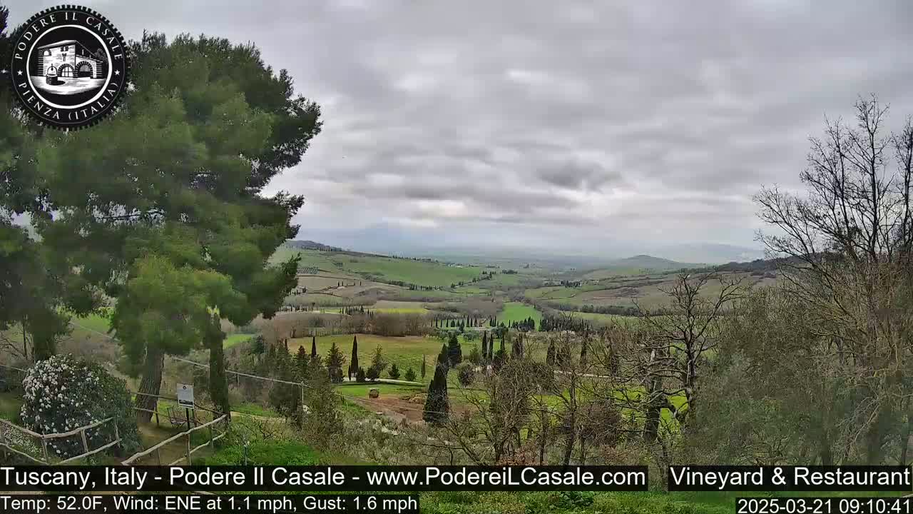 A view of rolling green hills and vineyards under a cloudy sky.