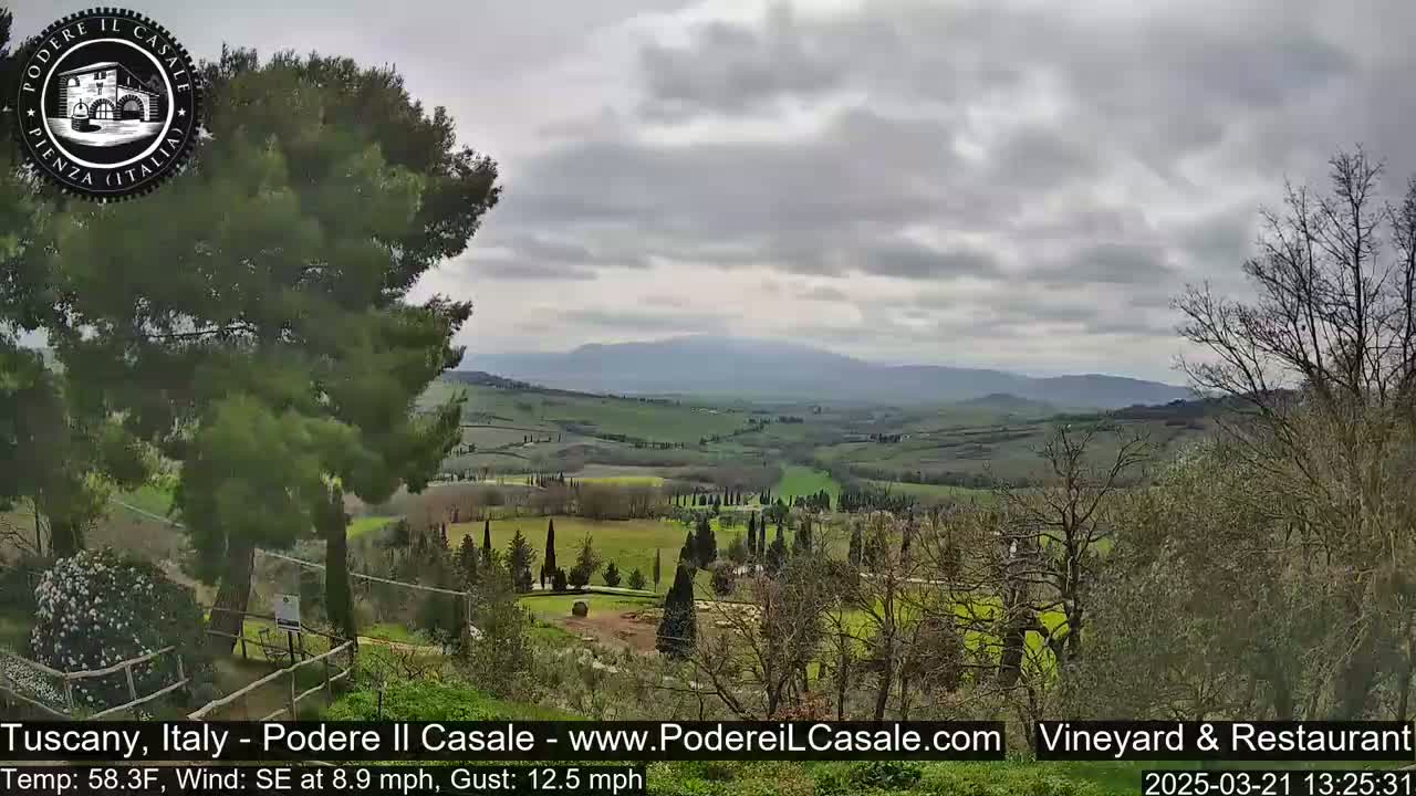 A view of a rolling green Tuscan landscape under a cloudy sky, partially obscured by trees in the foreground.