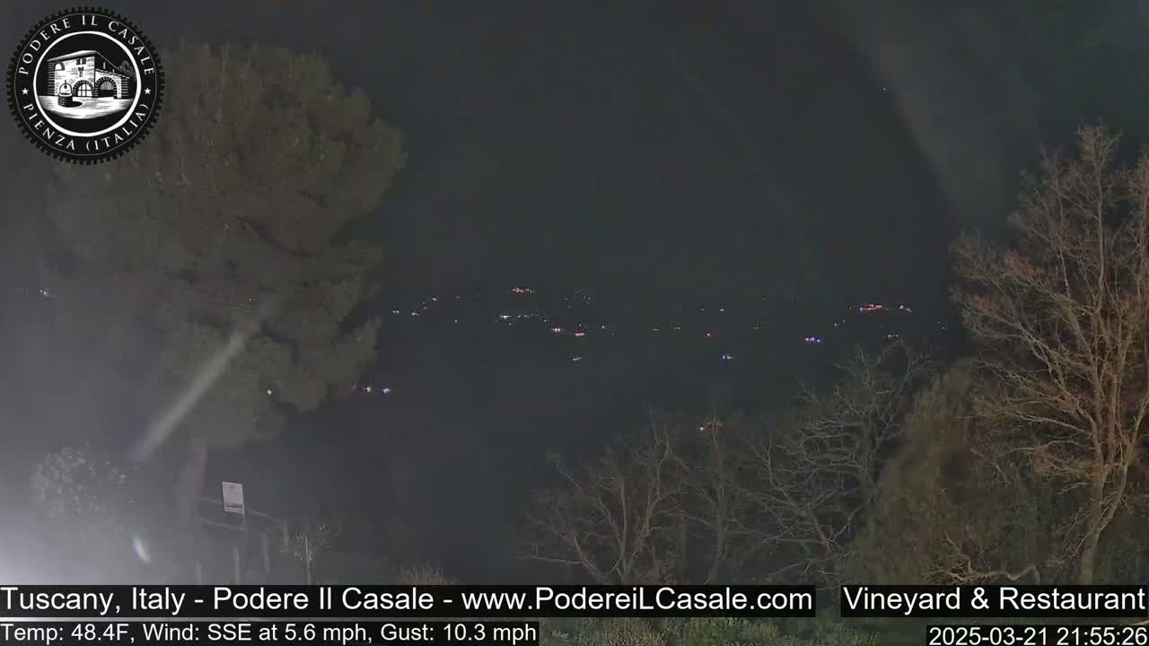 A nighttime view of a distant town illuminated by scattered lights, partially obscured by bare trees in the foreground, under a dark sky with a SSE wind.