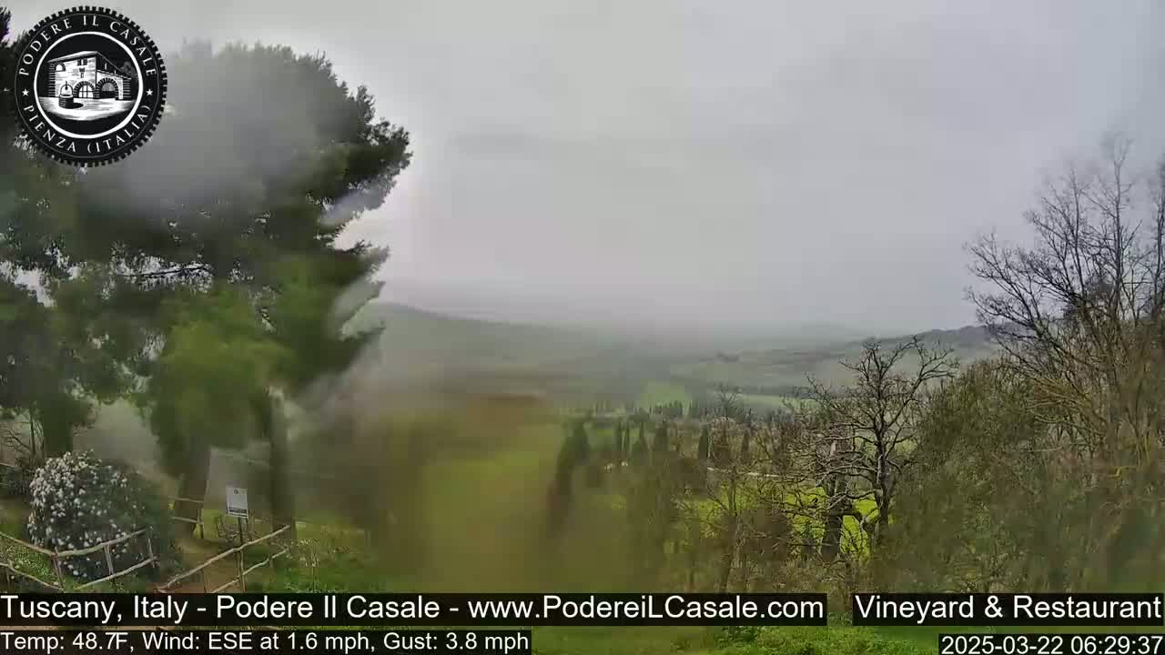 A rain-swept view of a Tuscan landscape shows rolling hills and trees under a gray sky.