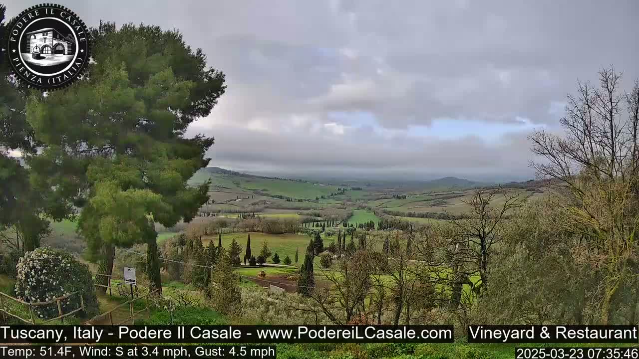 A sprawling Tuscan landscape under a cloudy sky, featuring rolling green hills dotted with trees and a few buildings in the distance.