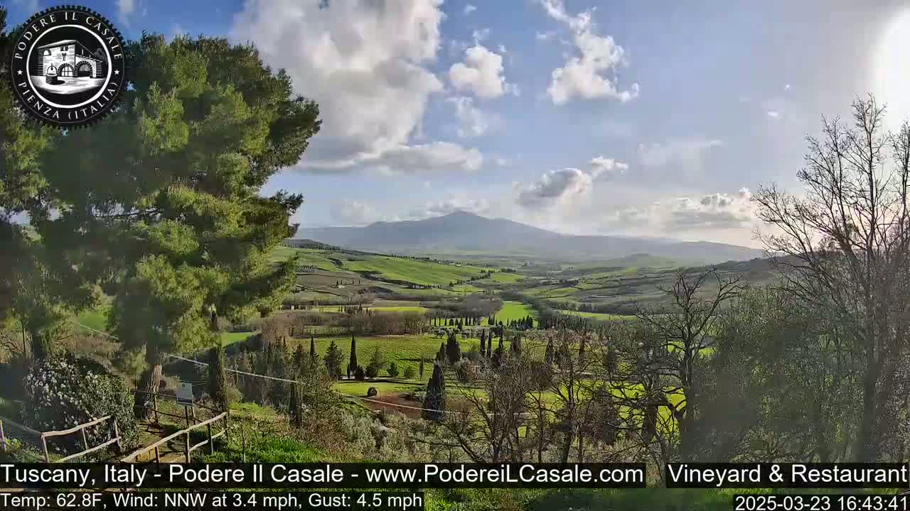 A partly cloudy, sunny day reveals a rolling green Tuscan landscape with a distant mountain range, viewed from an elevated vantage point among trees.