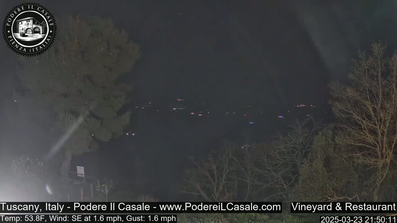A nighttime view of a dimly lit town nestled among dark, leafless trees under a dark sky, with a slight southeast wind.