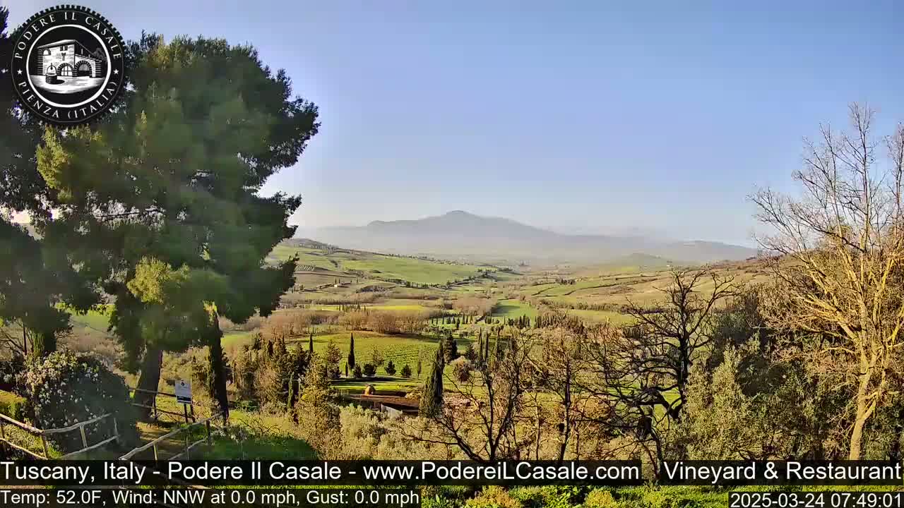 A sunny view of a rolling green Tuscan landscape, with distant hazy mountains under a clear blue sky.