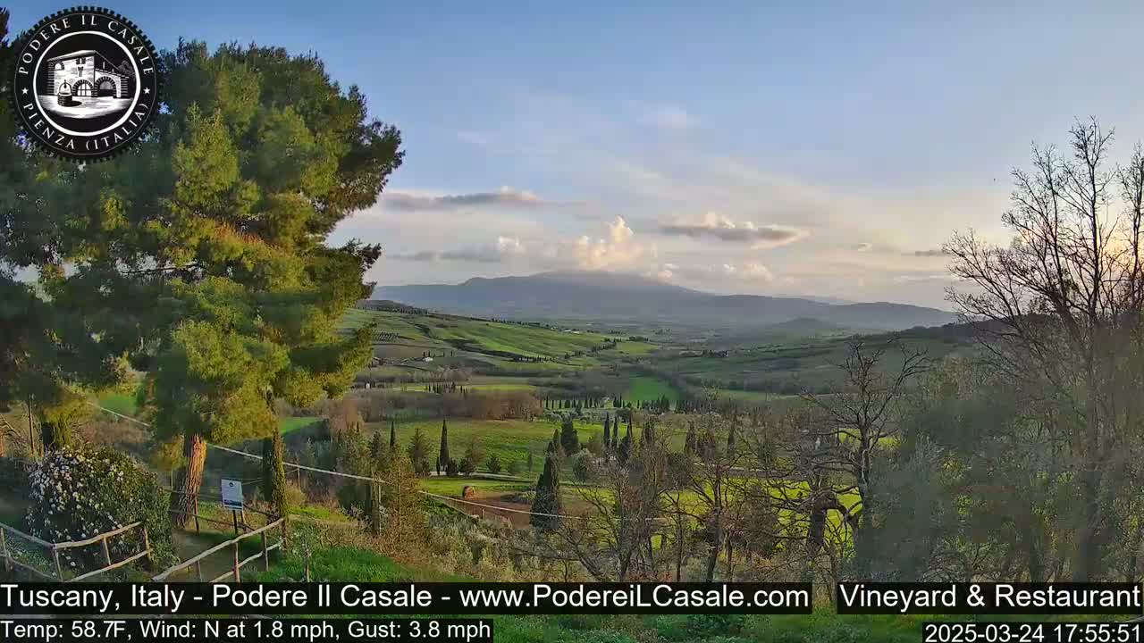 A rolling, green Tuscan landscape under a partly cloudy, pale blue sky, viewed from a vantage point partially obscured by trees.