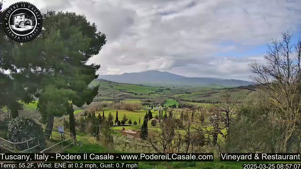 A hilly, green landscape under a mostly cloudy sky, featuring rows of cypress trees and a mountain in the distance.