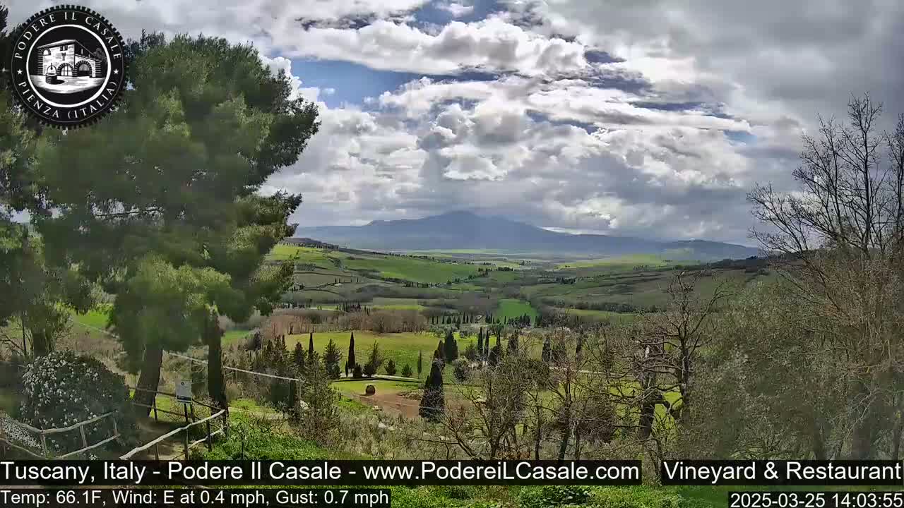 A partly cloudy day reveals a sprawling green valley with a distant mountain range, viewed from a vantage point partially obscured by trees.