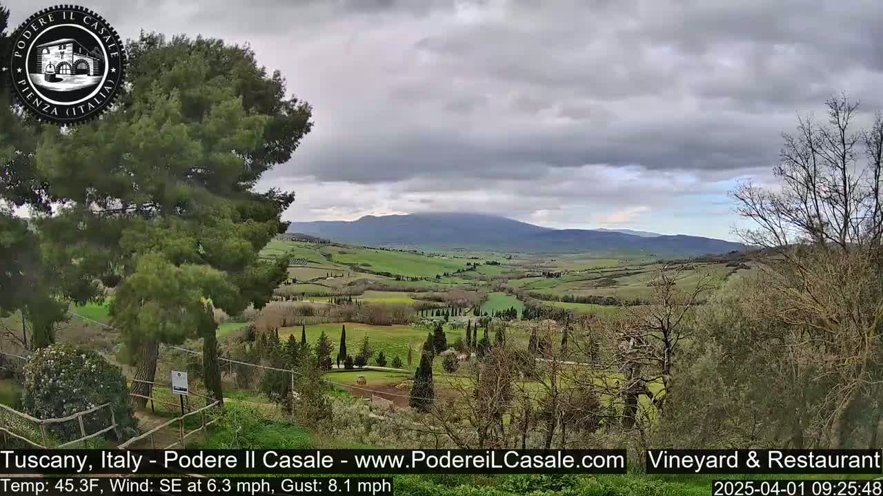 A rolling landscape of green hills and valleys under a cloudy sky stretches to a distant mountain range.