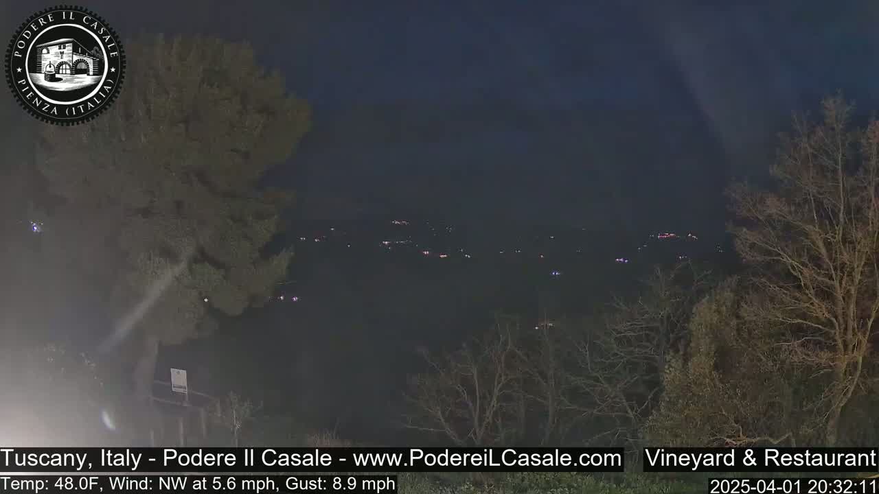 A nighttime view of a dimly lit valley with sparse trees in the foreground under a dark sky.