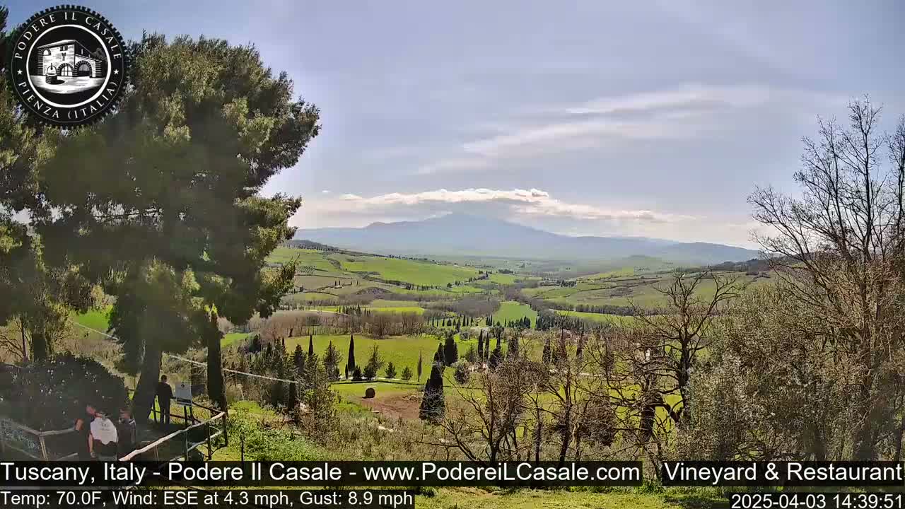 A sunny view of a Tuscan landscape, showing rolling green hills, a distant mountain range, and several trees, some bare and some full of leaves.