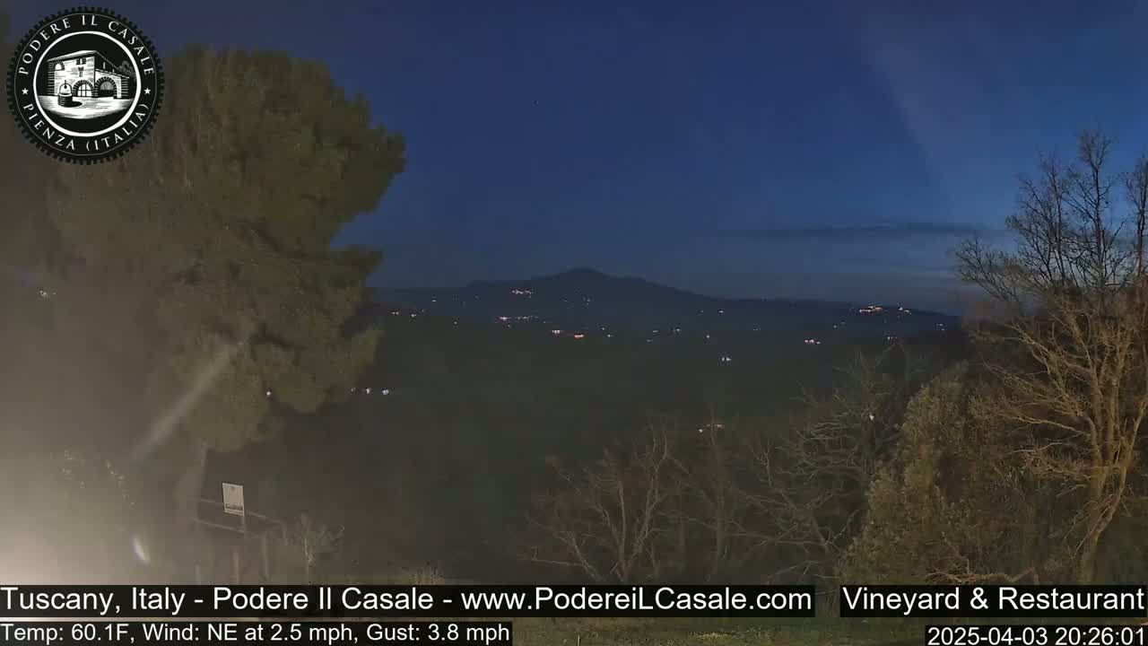 A nighttime view of a hilly landscape with sparse trees and distant lights under a dark blue, mostly clear sky.