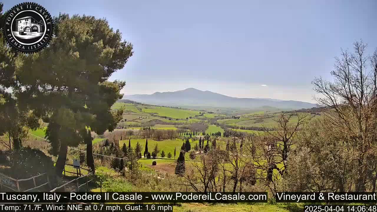 A sunny view of a rolling green Tuscan landscape, featuring trees, a distant mountain range, and a large tree in the foreground.