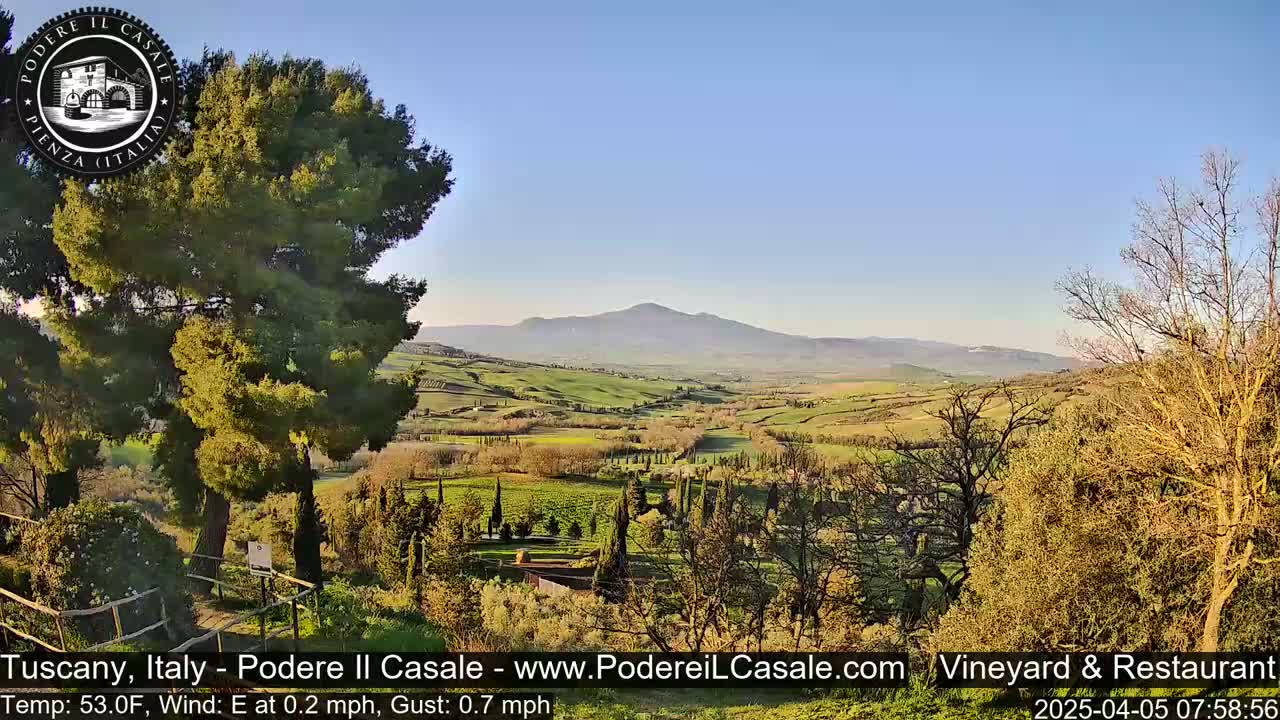 A sunny view of rolling hills and vineyards, with a distant mountain in the background, is seen from an elevated vantage point.